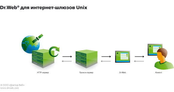 Схема действия